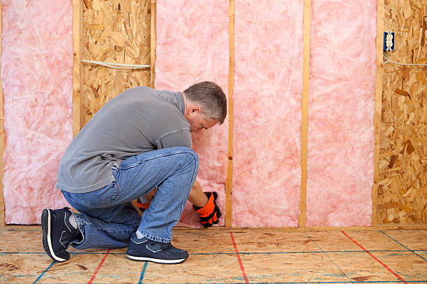 Best Spray Foam Insulation  in Caon City, CO